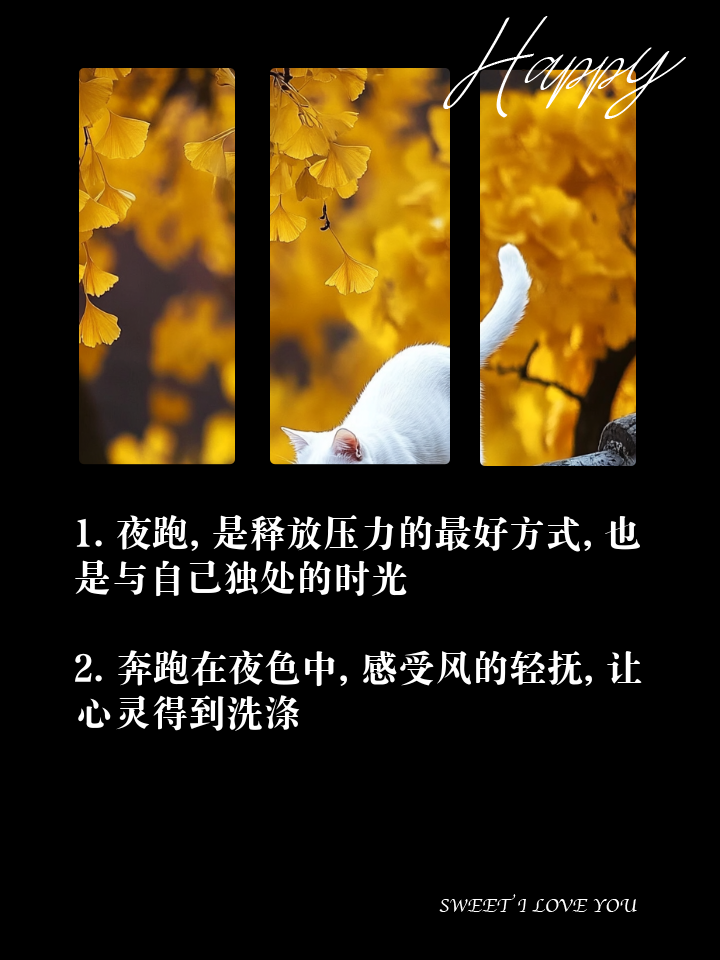 大型星空下的夜跑节，照亮心中的运动梦想的简单介绍