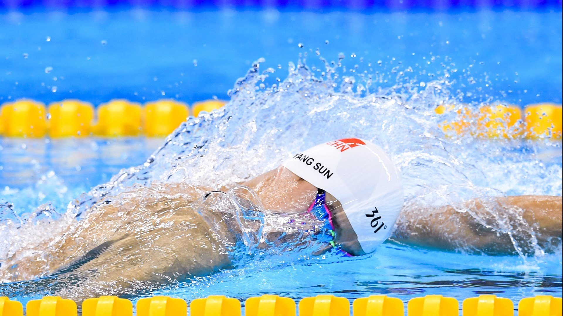 开云体育登陆入口-荷兰马术协会与大学合作，开展马术运动营养研究，优化饮食方案。